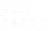 CariHesap