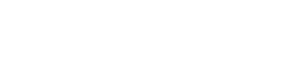 CariHesap
